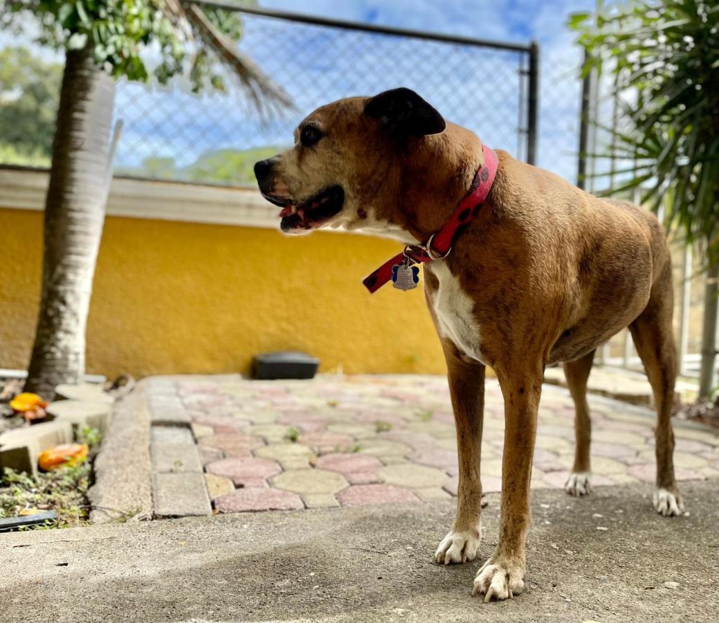 Casamares Private Room Mar With Pool And Barbecue 5 Min To Boqueron And Beaches カボ・ロホ エクステリア 写真