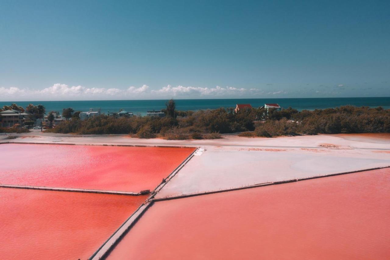 Casamares Private Room Mar With Pool And Barbecue 5 Min To Boqueron And Beaches カボ・ロホ エクステリア 写真